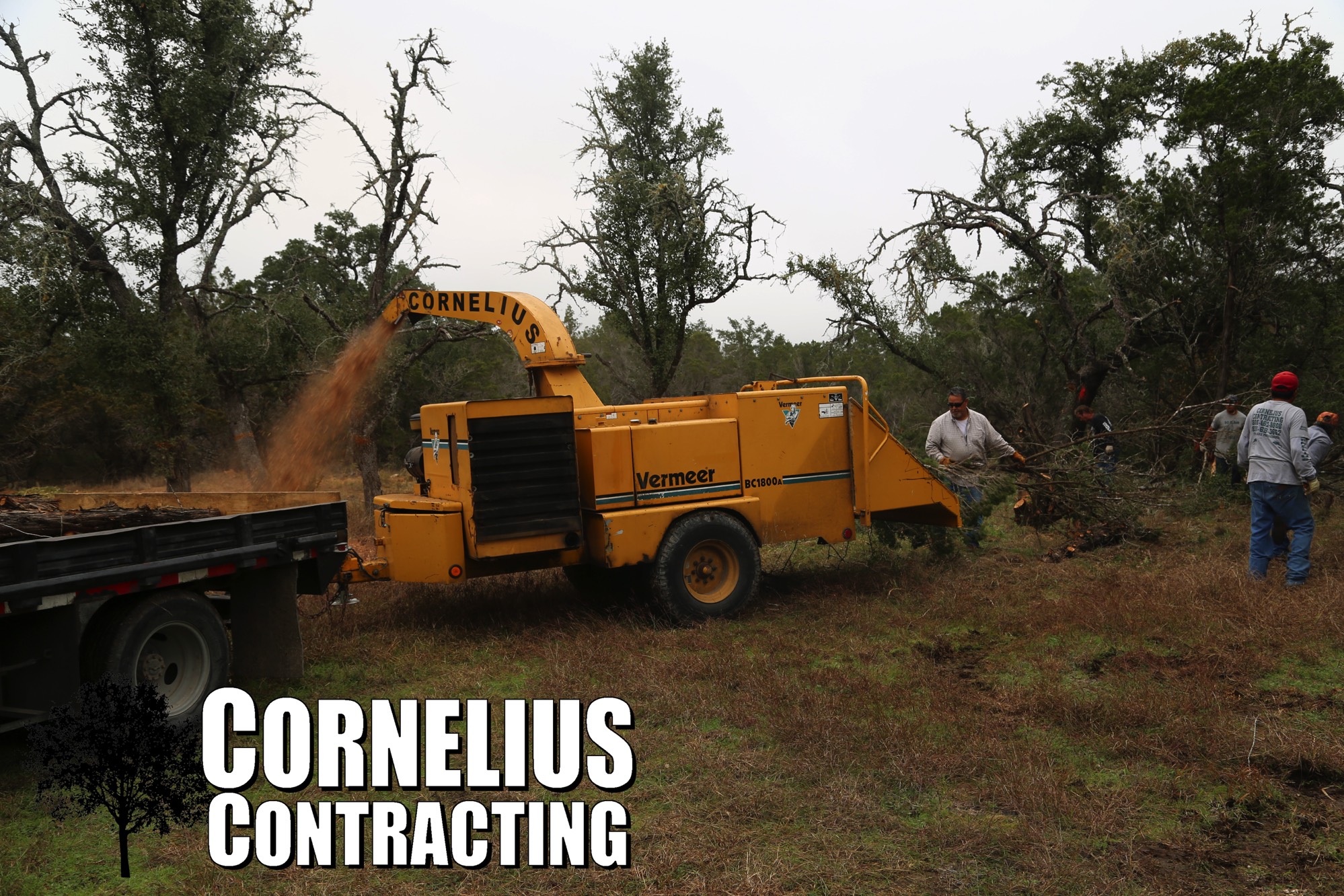 A short description about the picture goes here