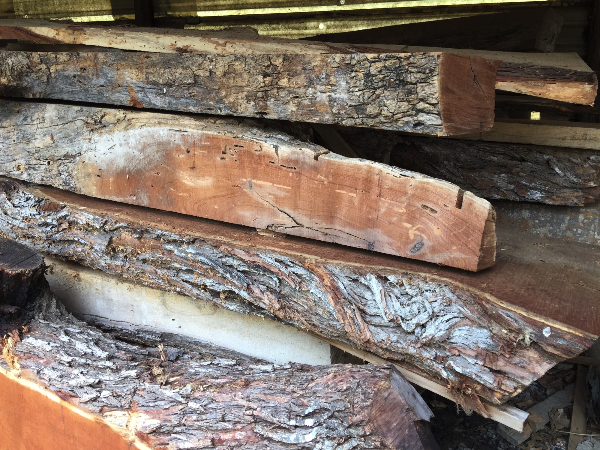 A short description about the picture goes here